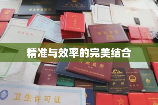 雨城精准与效率的完美结合